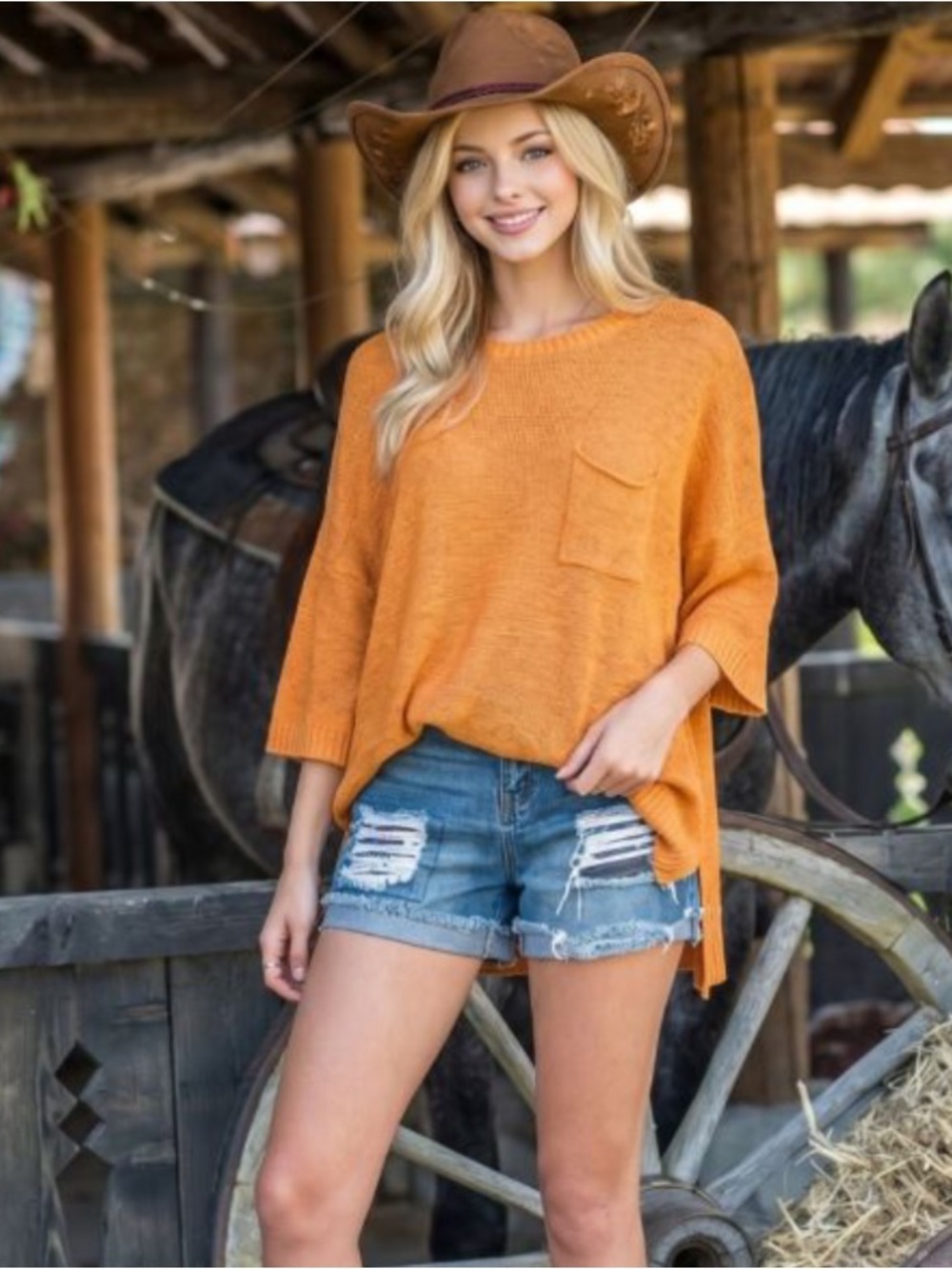 116 ❤️ 1-G EASEL SHORT SLEEVE KNITTED SWEATER TOP